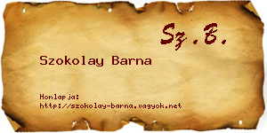 Szokolay Barna névjegykártya